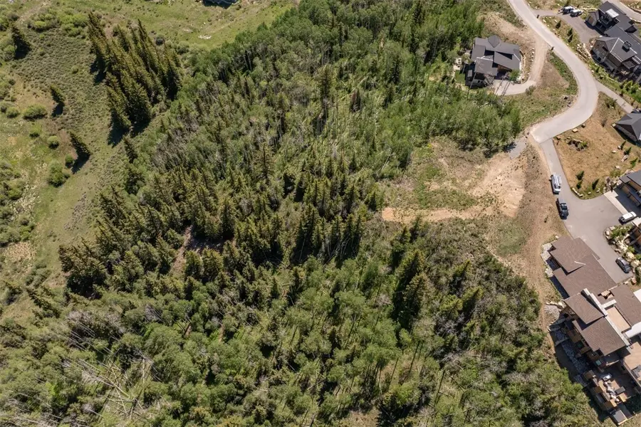 70 Mayfly Drive, Silverthorne, CO 80498 - #3