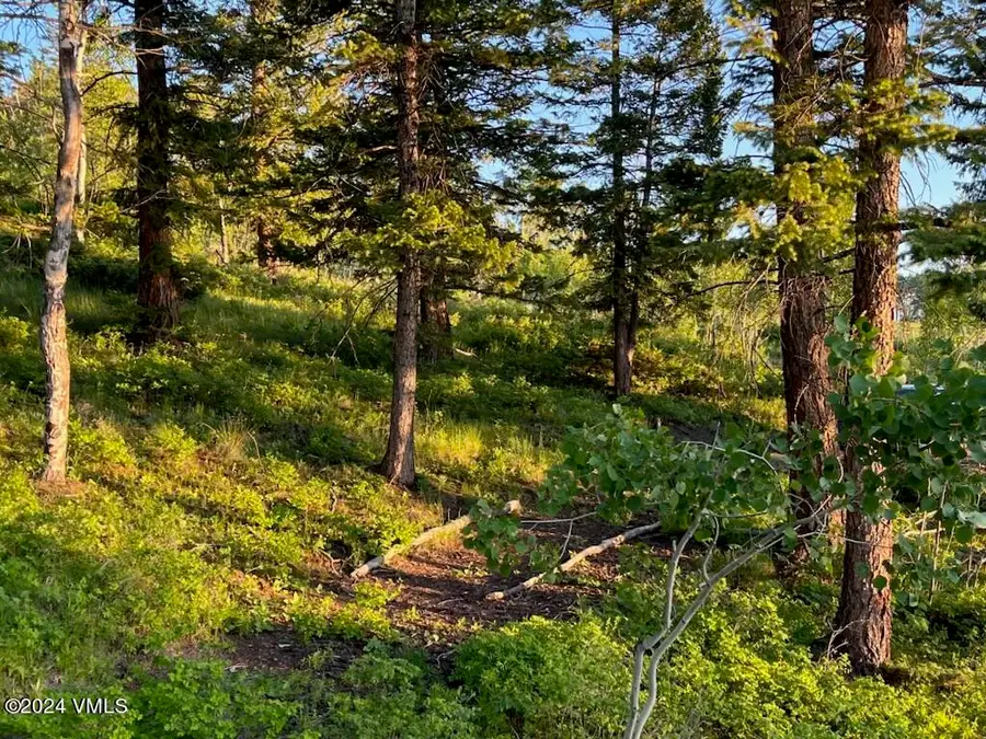 107 Cavesson Court, Edwards, CO 81632 - #2