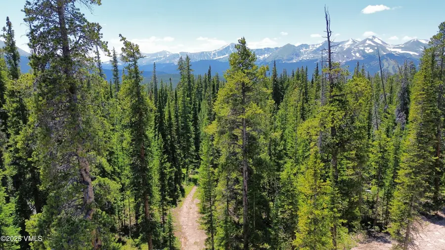 TBD Cumberland Drive #Homesite 20, Breckenridge, CO 80424 - #2