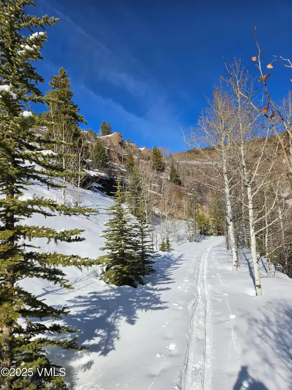 8458 Hwy 24, Minturn, CO 81645