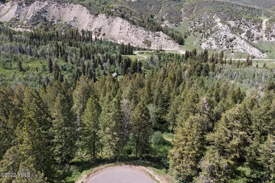 398 Peregrine Drive, Edwards, CO 81632 - Image #3