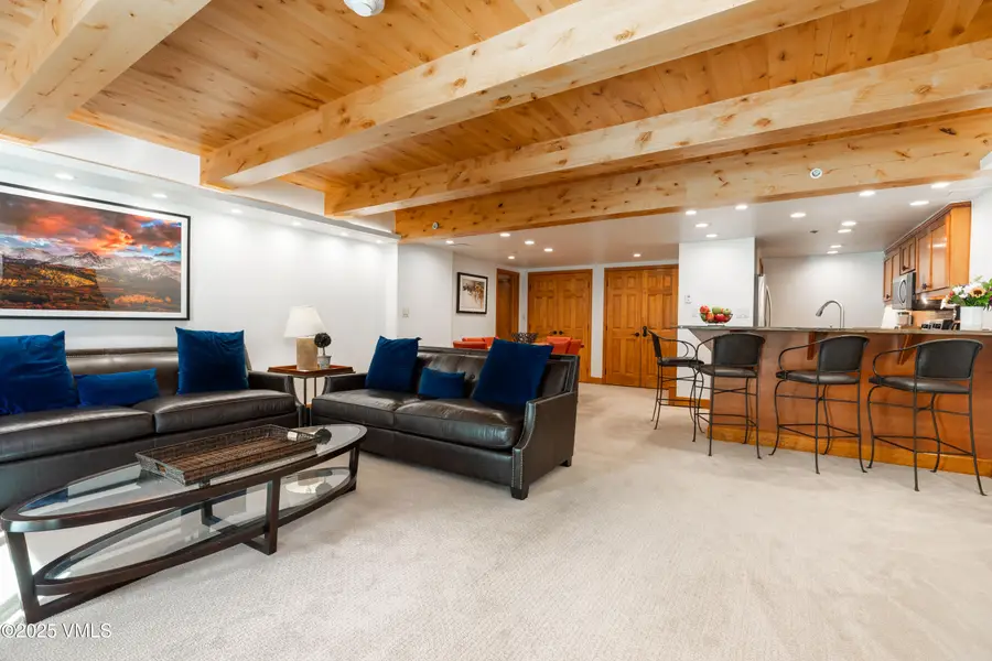 390 E Lionshead Circle #103, Vail, CO 81657 - Image #3