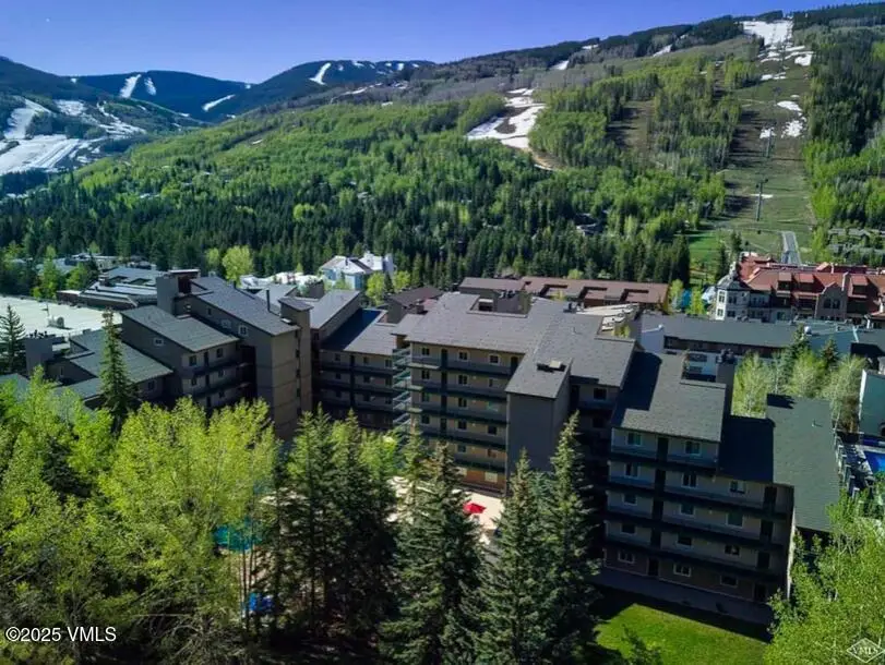 508 E Lionshead Circle #211/Weeks 8&9, Vail, CO 81657 - Image #1