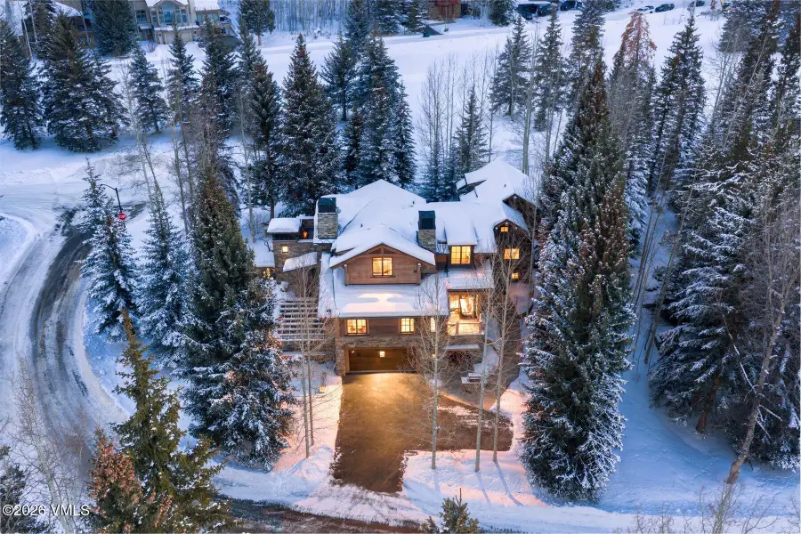 1187 Hornsilver Circle, Vail, CO 81657 - #2