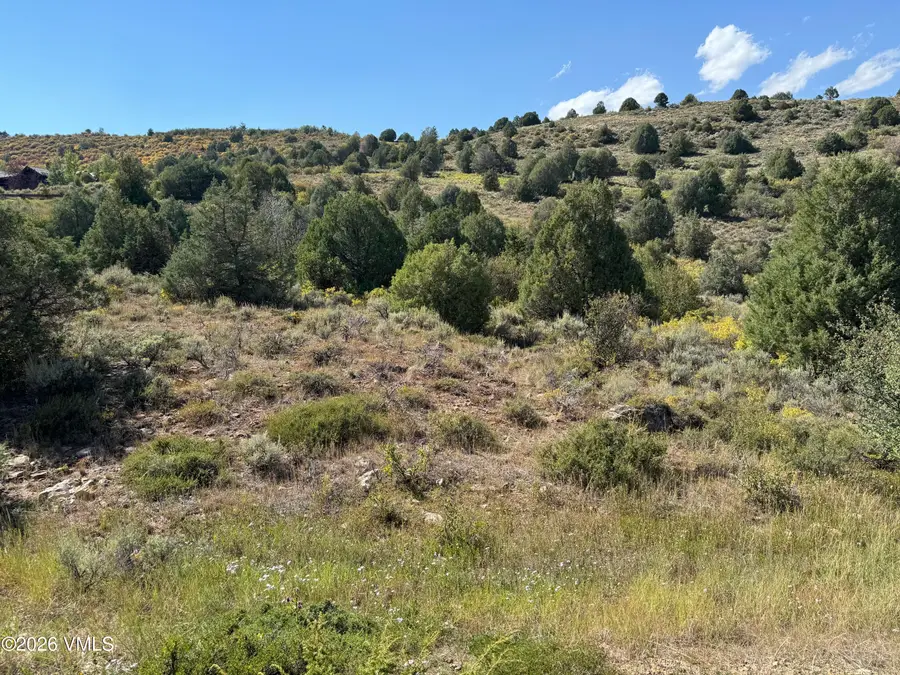 417 Aspen Bluff Lane, Wolcott, CO 81655 - #3