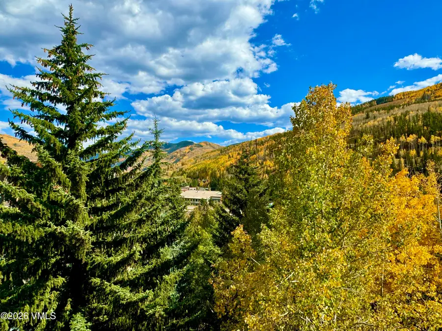 1100 N Frontage Road W #1519, Vail, CO 81657 - #3