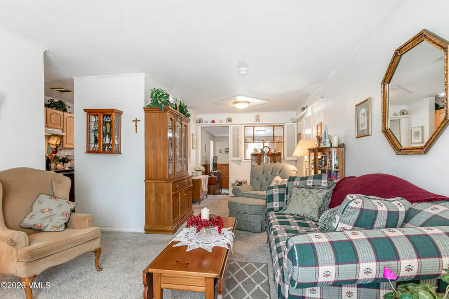 1308 Mount Massive Drive, Leadville, CO 80461 - #3