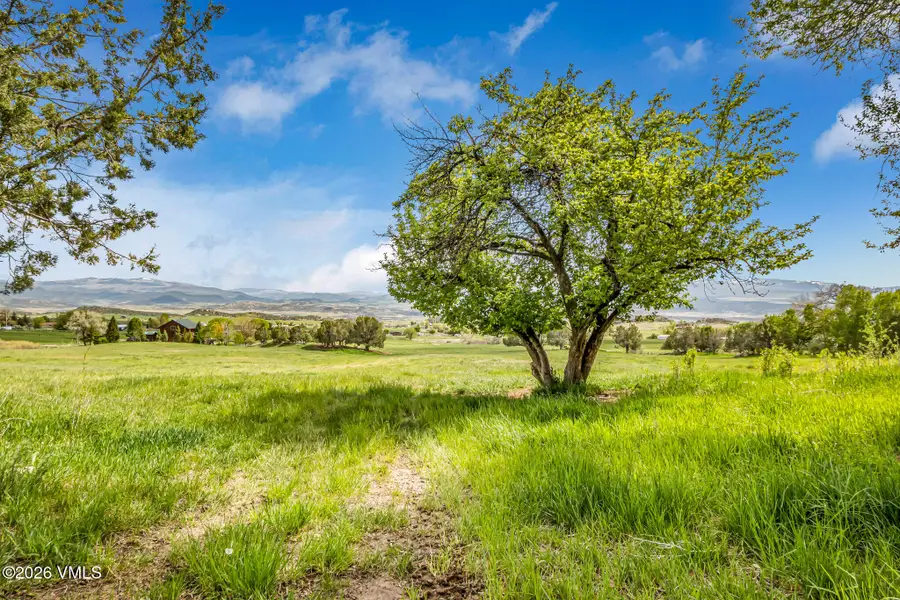509 Ingersoll Lane, Silt, CO 81652 - #3