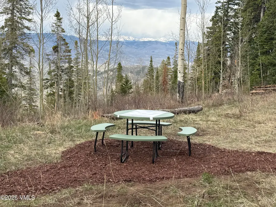 603 Granite Springs Trail, Edwards, CO 81632 - #2