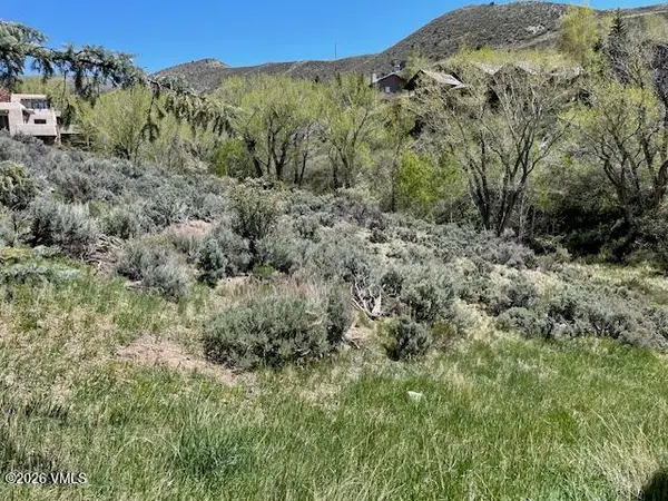 360 Singletree Road, Edwards, CO 81632