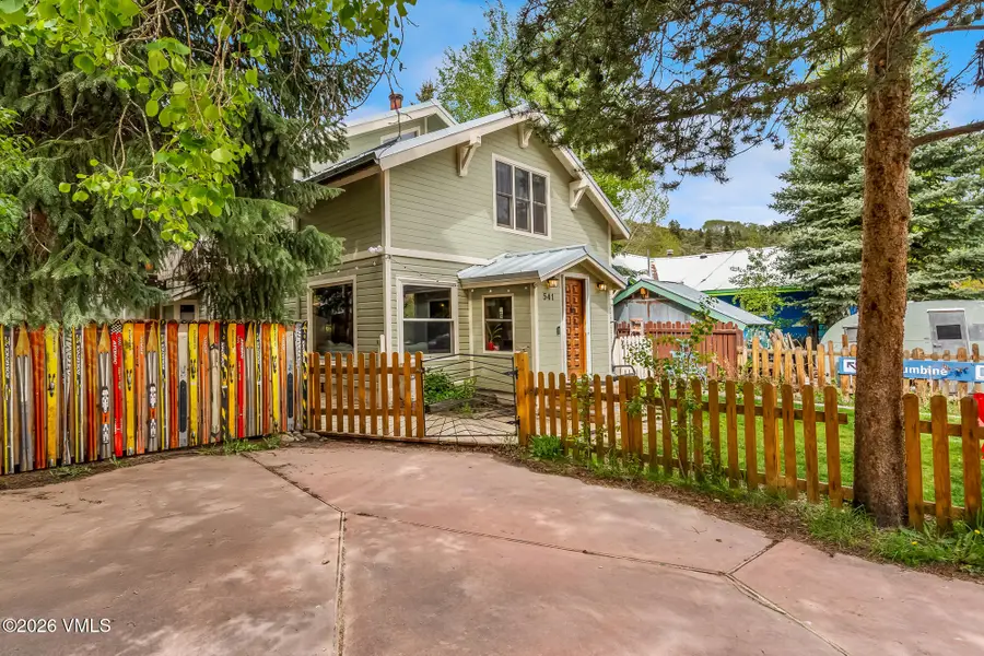 541 Main Street, Minturn, CO 81645 - #3