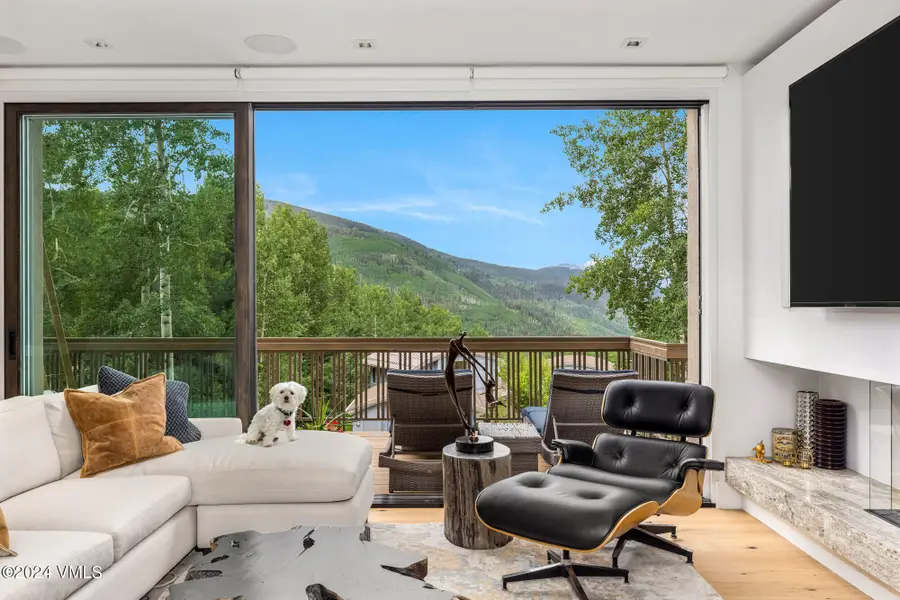 784 Potato Patch Drive W, Vail, CO 81657 - #3
