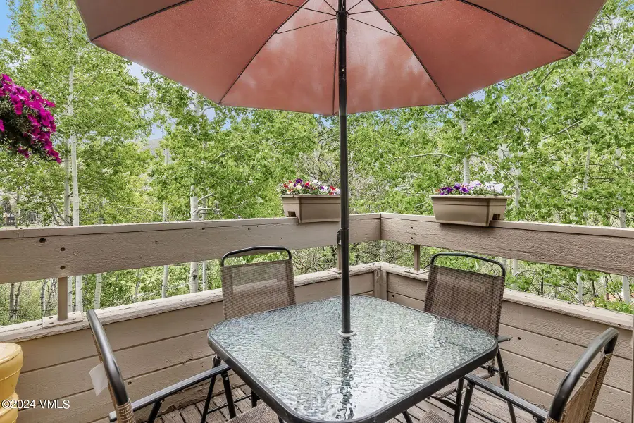 411 Eagle Drive #10, Avon, CO 81620 - #3