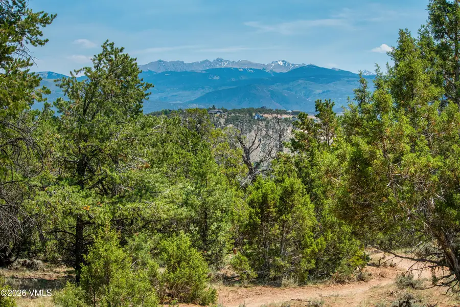 790 Mesa Drive, Eagle, CO 81631 - #3
