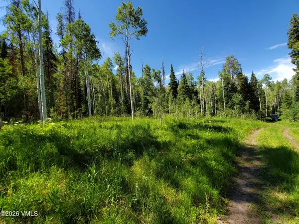 20381 King Bolt Trail, Oak Creek, CO 80467