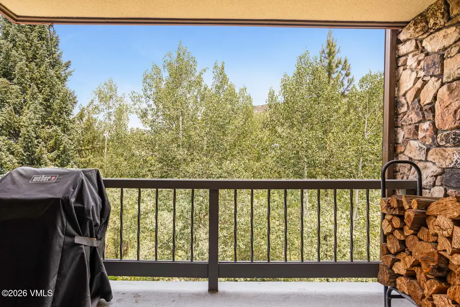 1166 Village Road #B407, Beaver Creek, CO 81620 - #2