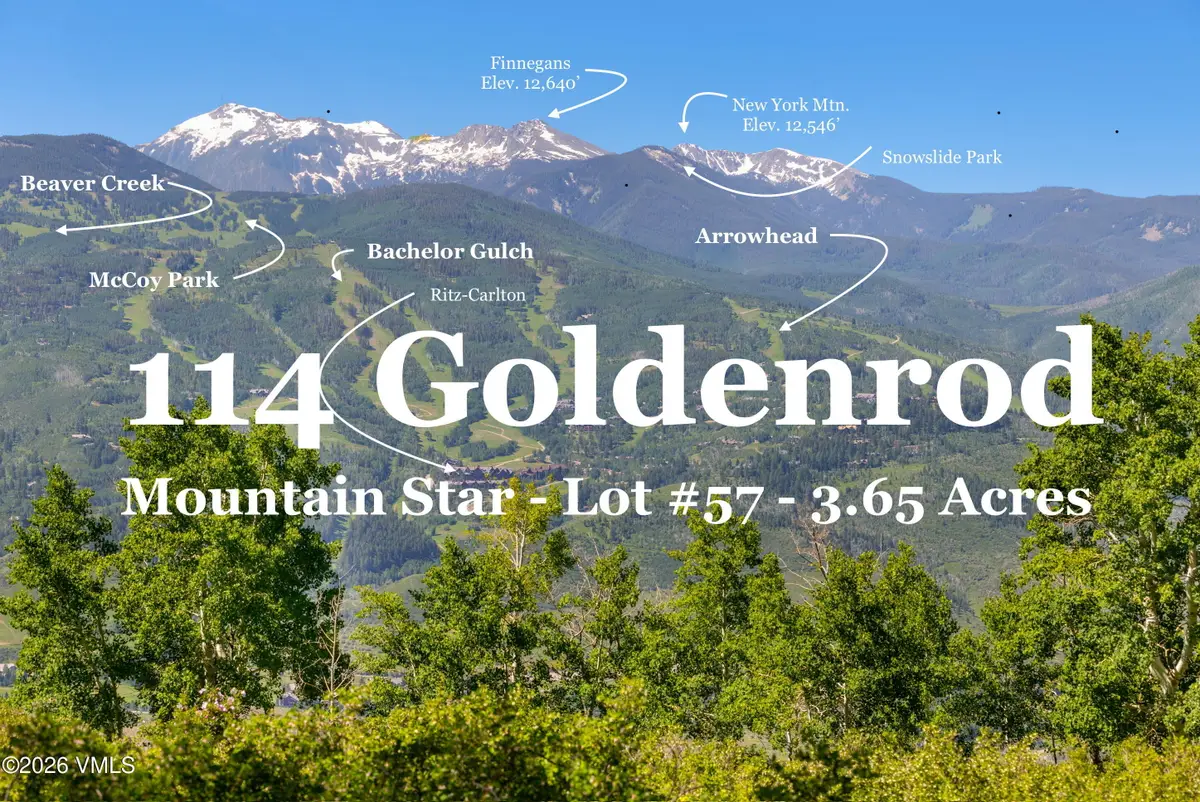 114 Goldenrod, Avon, CO 81620 - #1