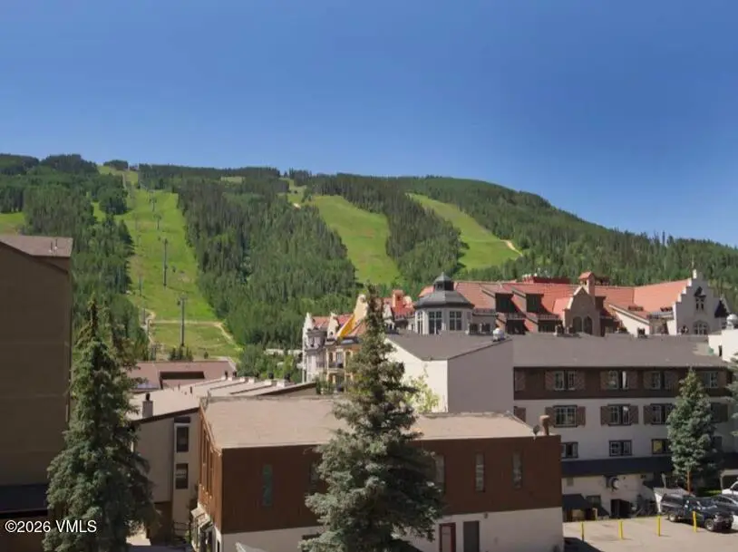 508 E Lionshead Circle # 310/week 32, Vail, CO 81657 - #3