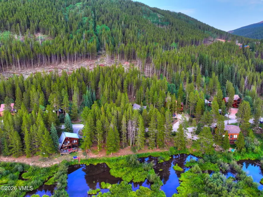 623 Blue River Road, Breckenridge, CO 80424 - #3