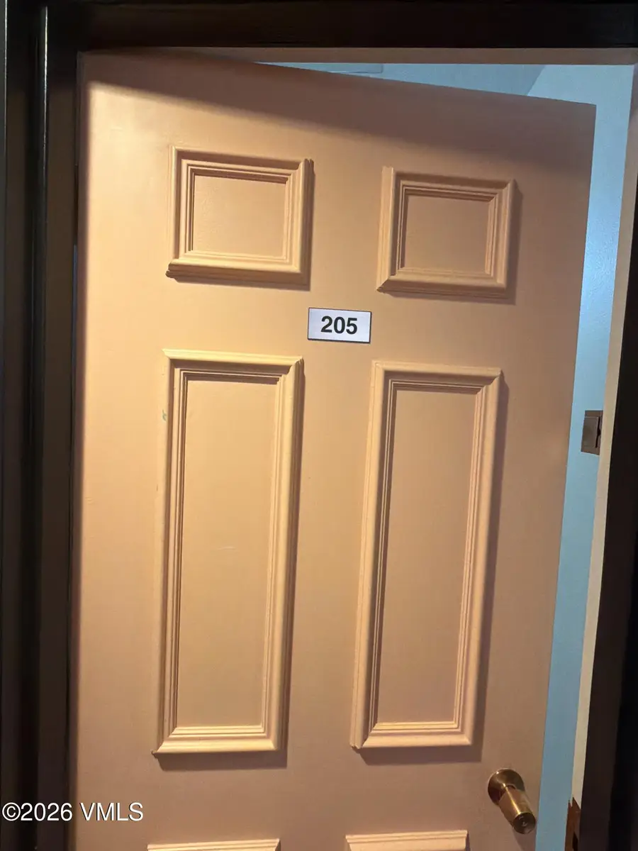 1000 Lions Ridge Loop # 205, Vail, CO 81657 - #2