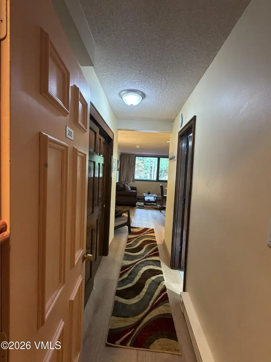 1000 Lions Ridge Loop # 205, Vail, CO 81657 - #3
