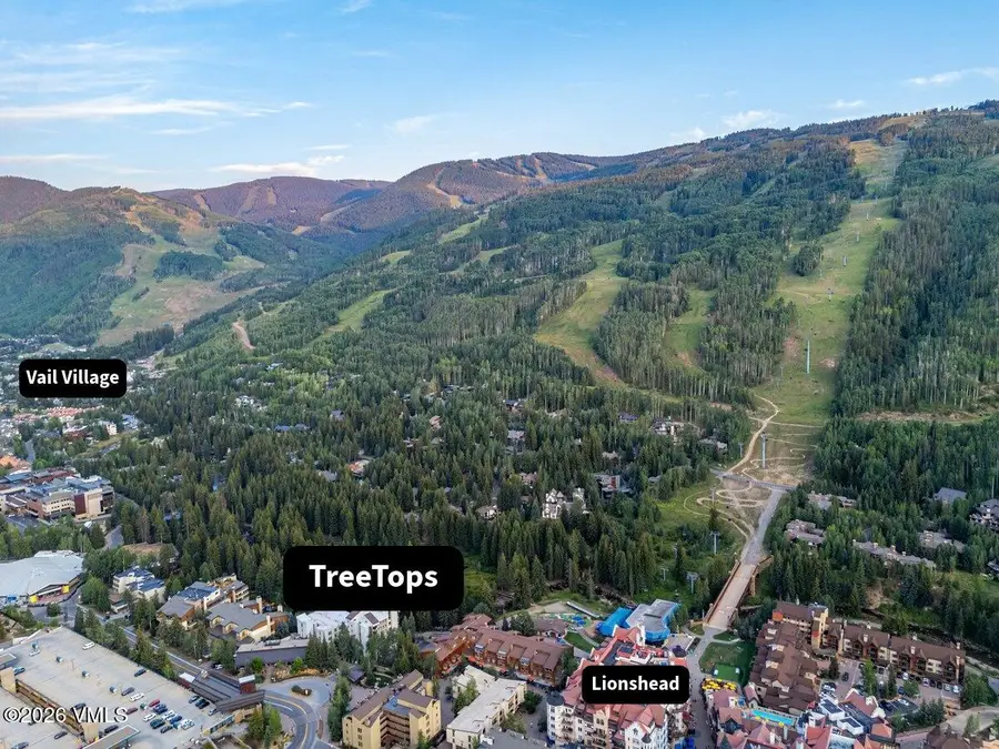 452 E Lionshead Circle # 6B, Vail, CO 81657 - #2