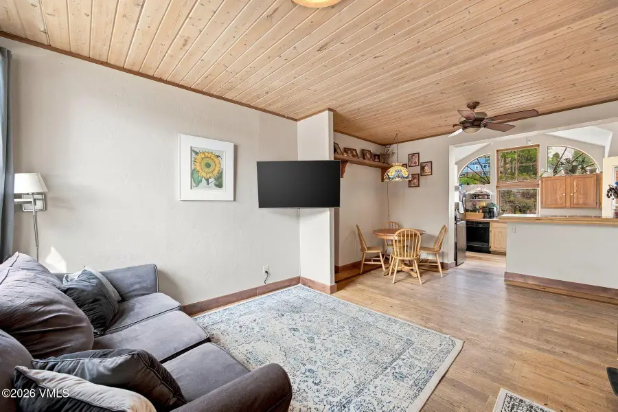 246 Monument Street, Red Cliff, CO 81649 - #2