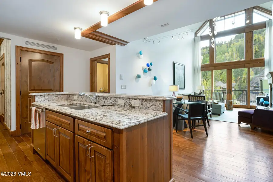 728 W Lionshead Circle # R300, Vail, CO 81657 - #2