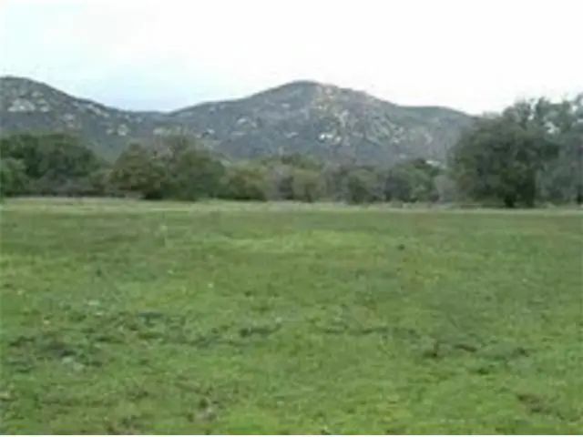 160 Historic Ranch Canebrake Road, Boulevard, CA 91905 - #1