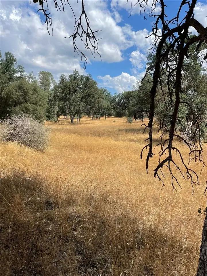 Bull Creek Rd 2s05, Coulterville, CA 95311 - #1