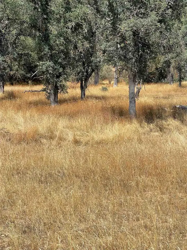Bull Creek Rd 2s05, Coulterville, CA 95311 - #2