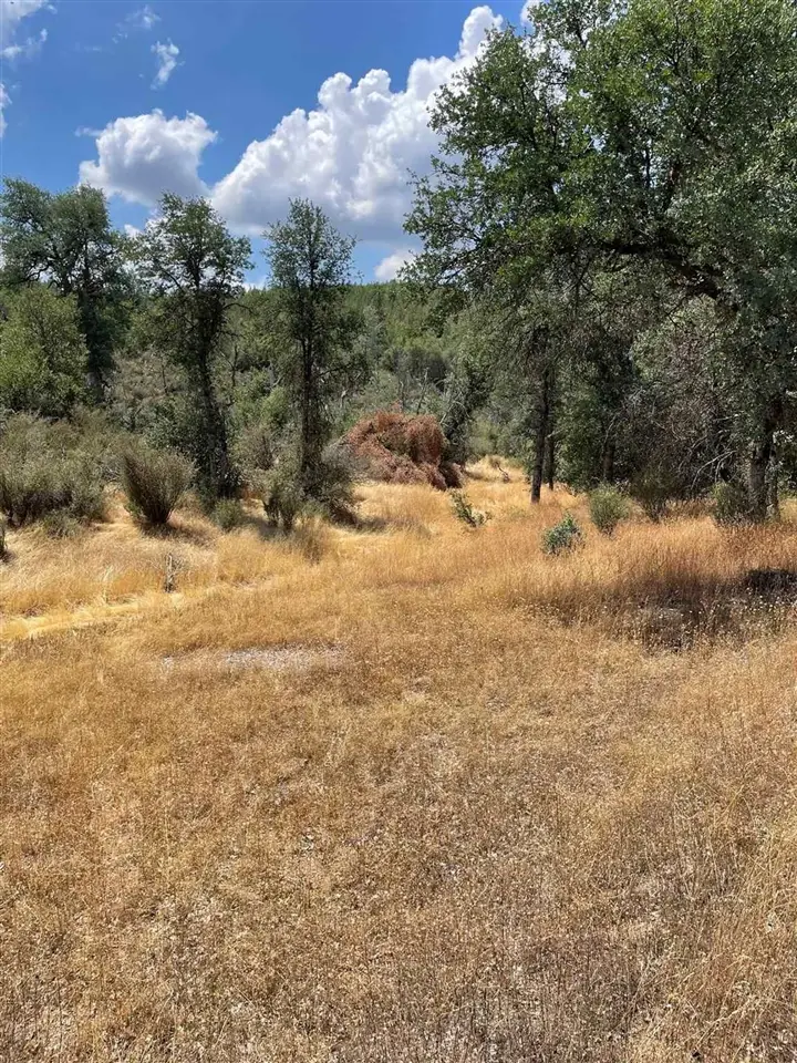 Bull Creek Rd 2s05, Coulterville, CA 95311 - #3