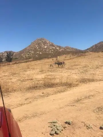 1 Cantarini Road, Moreno Valley, CA 92557 - Image #1