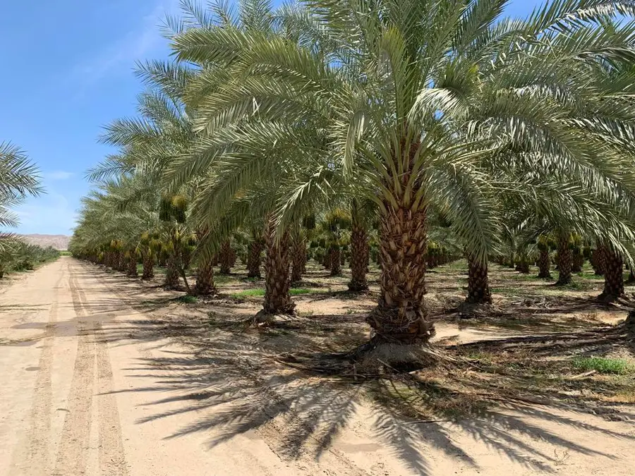 0 Pierce St & Airport Blvd, Thermal, CA 92274 - Image #3