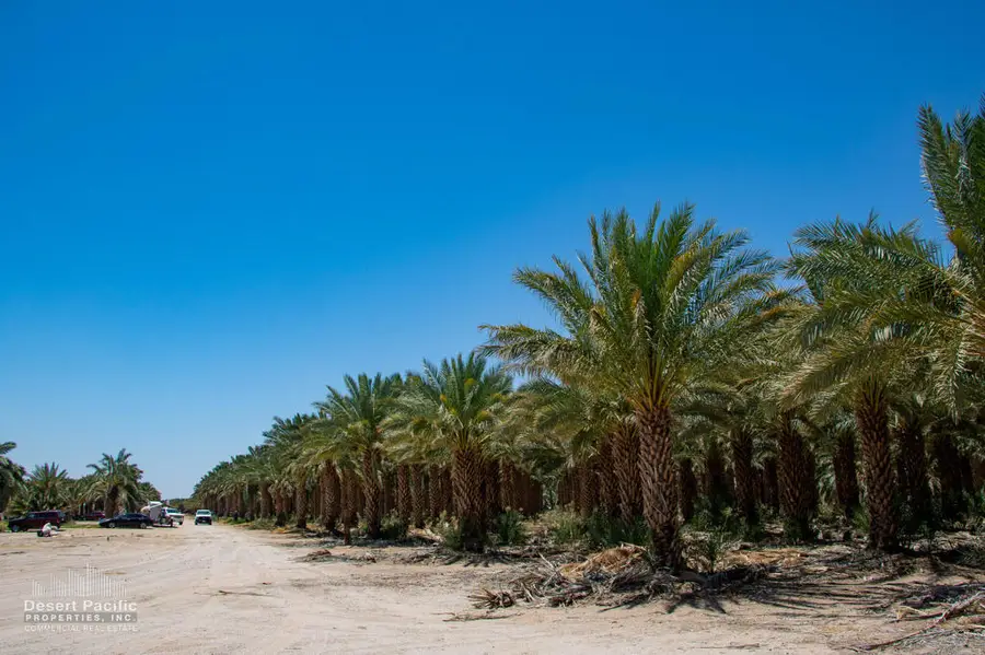 1095 Midland Rd, Blythe, CA 92225 - Image #3