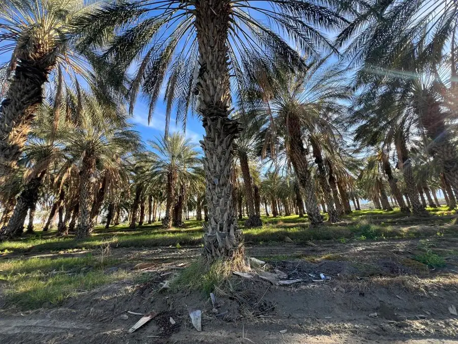 0 Nwc Pierce St & Ave 64, Thermal, CA 92274 - #3