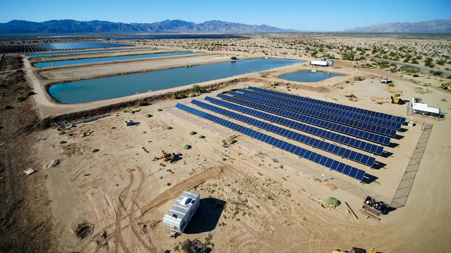 24511 Rice Rd, Desert Center, CA 92239 - Image #3