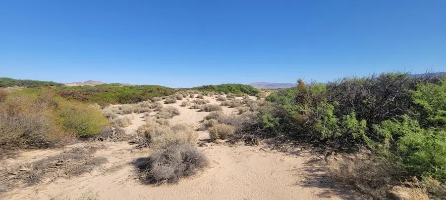 1655 La Buena Tierra Avenue, Twentynine Palms Yucca Valley, CA 92277 - #3