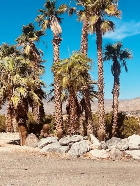 15695 Vista Circle, Desert Hot Springs, CA 92241 - #2