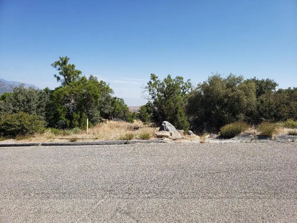 0 Ribbonwood Drive, Mountain Center, CA 92561 - Image #1