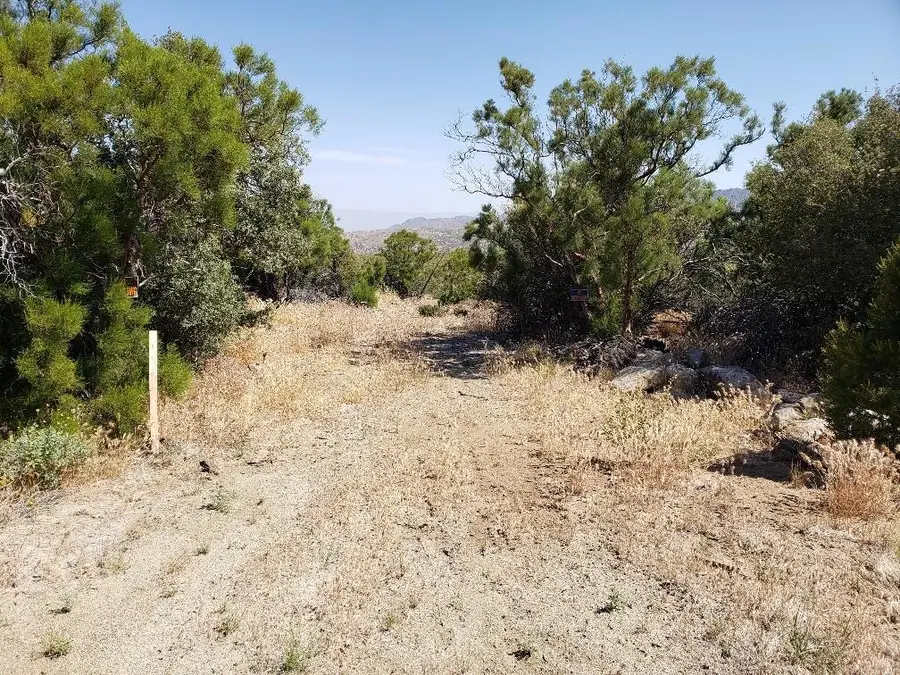 0 Ribbonwood Drive, Mountain Center, CA 92561 - Image #3