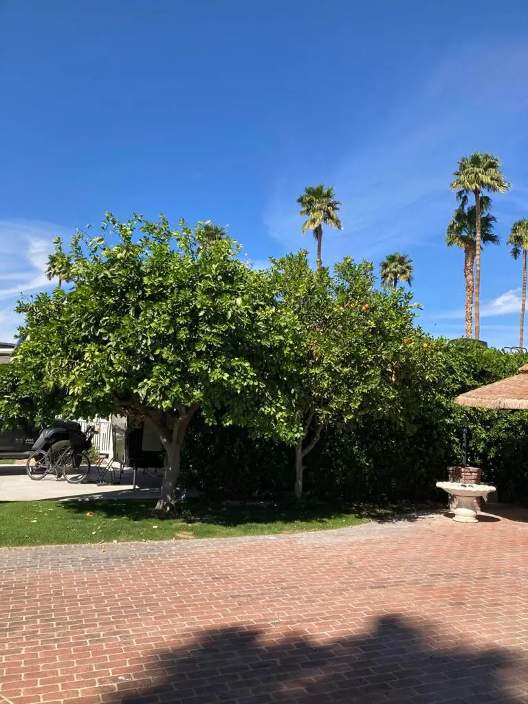 69411 Ramon Road #201, Cathedral City, CA 92234 - #3