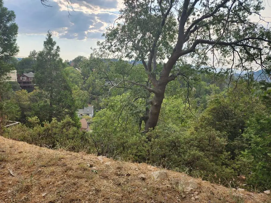 0 Evergreen Lane, Lake Arrowhead, CA 92352 - Image #3
