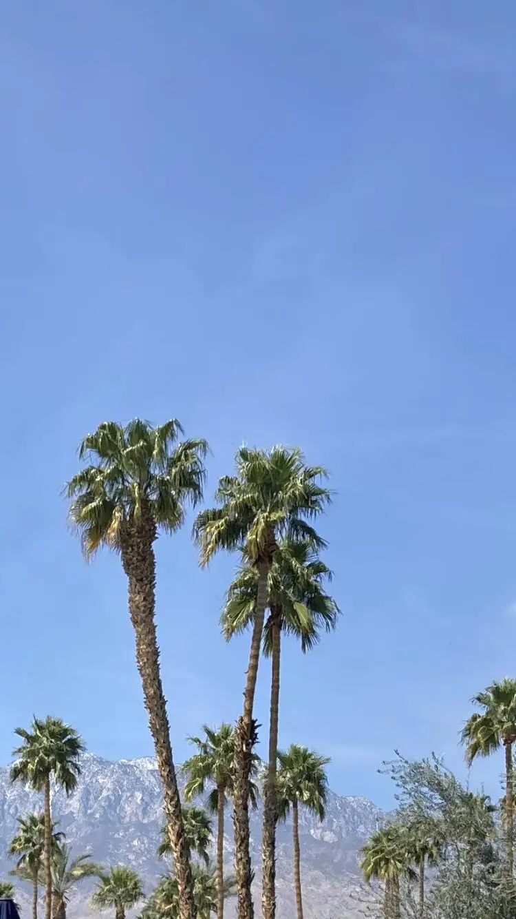 69411 Ramon Road #907, Cathedral City, CA 92234 - Image #2