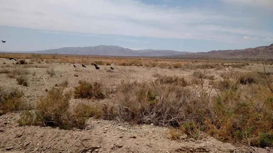 40 Ac M/L Domeno Road, Niland, CA 92257 - Image #2