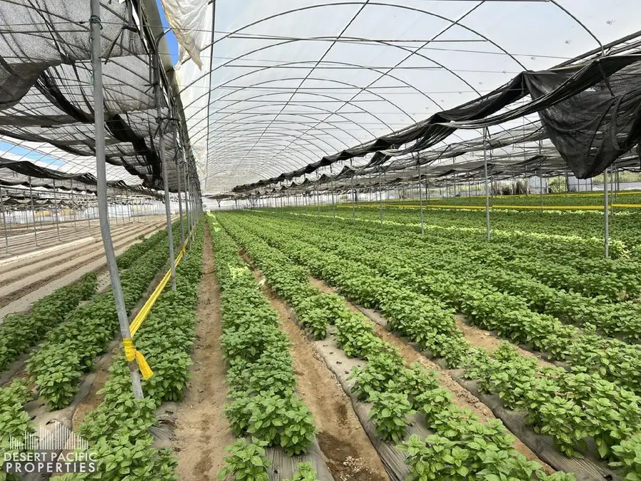 78100 Harrison St, Thermal, CA 92274 - Image #3