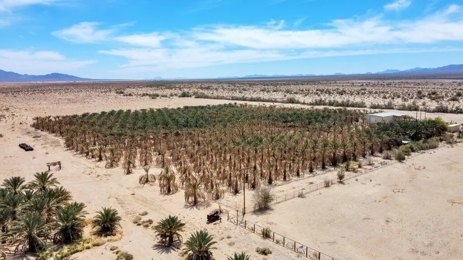 39905 Capp Road, Desert Center, CA 92239 - Image #3