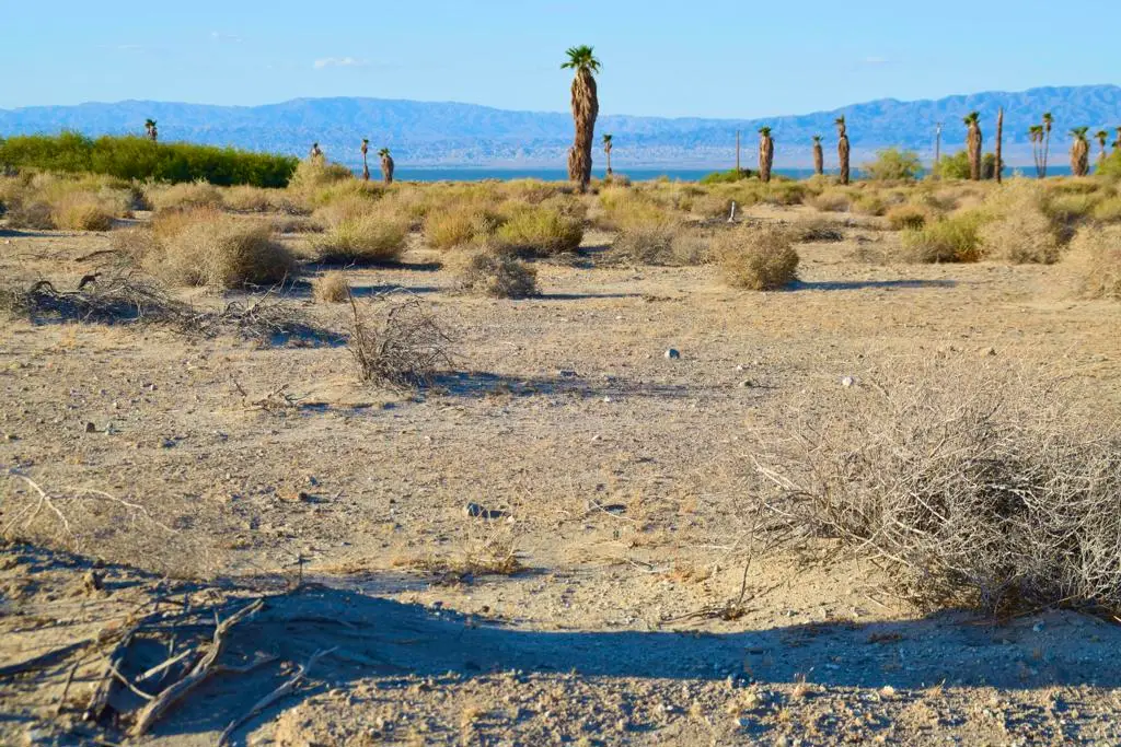 2835 Beachcomber Avenue, Thermal, CA 92274 - #1