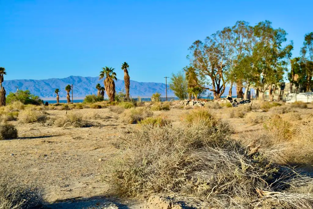 1376 Sandalwood Street, Thermal, CA 92274 - Image #1