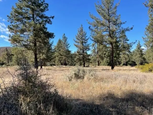 Lot 18 Pyramid Peak Road, Mountain Center, CA 92561 - Image #3